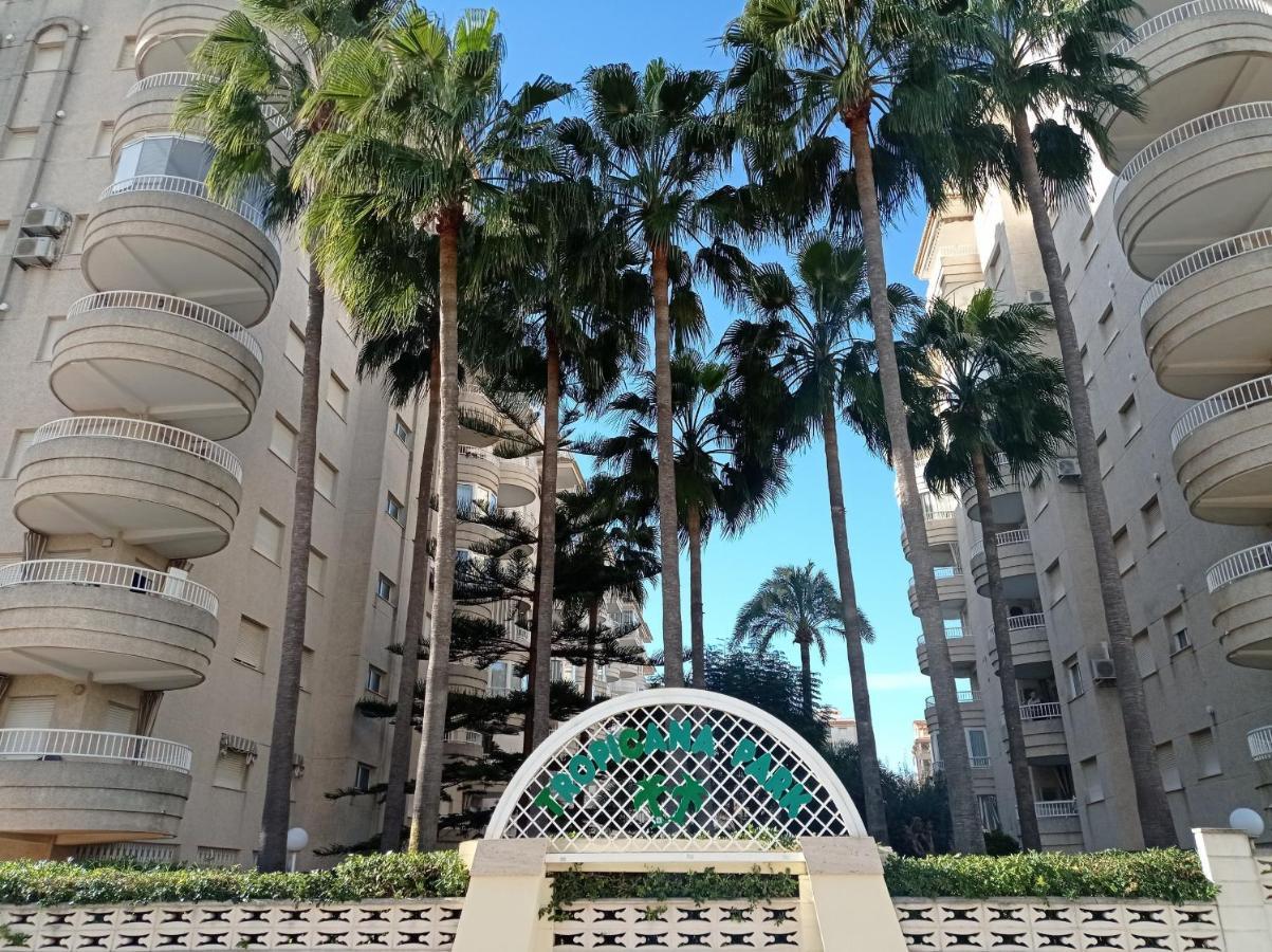Tropicana Park Solo Familias Serviplaya Gandía Buitenkant foto